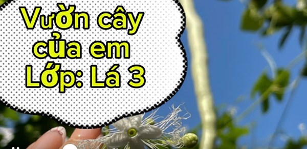 Vườn cây của em-lớp :lá 3